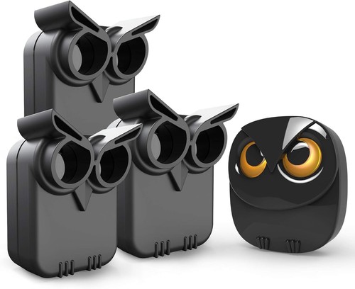 Htzsafe owl home - owl, security
